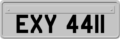 EXY4411