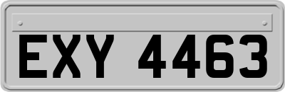 EXY4463