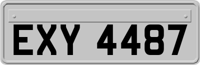 EXY4487