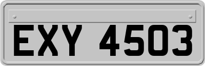 EXY4503