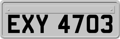 EXY4703