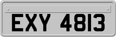 EXY4813