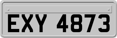 EXY4873