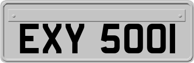 EXY5001