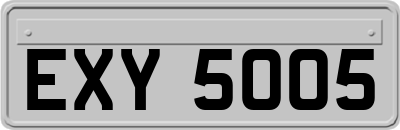 EXY5005