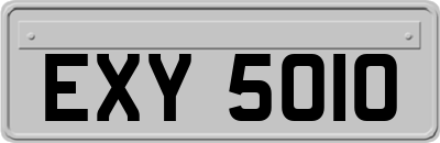 EXY5010
