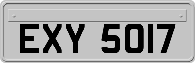 EXY5017