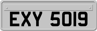 EXY5019