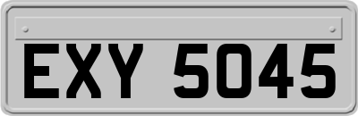 EXY5045