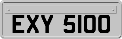 EXY5100