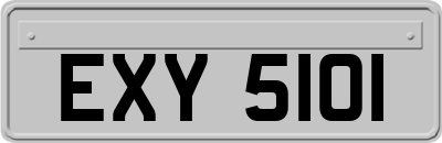EXY5101