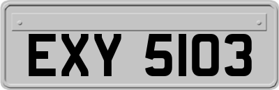 EXY5103