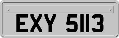 EXY5113
