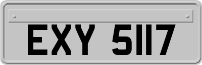 EXY5117