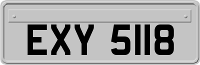EXY5118