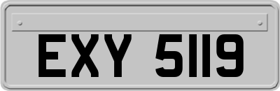 EXY5119