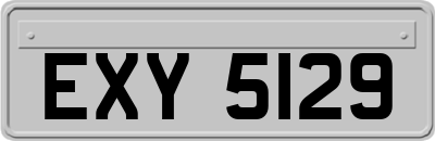EXY5129