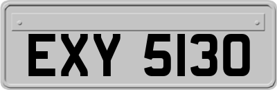 EXY5130