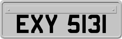 EXY5131