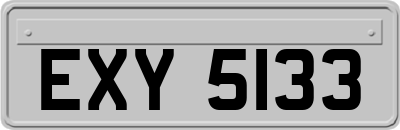 EXY5133