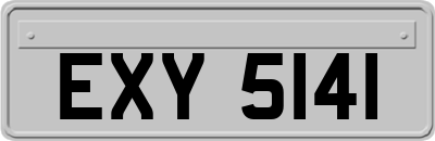 EXY5141