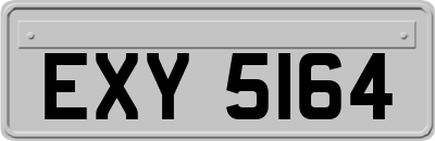 EXY5164