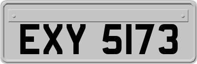 EXY5173