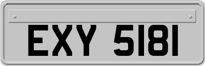 EXY5181