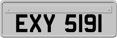 EXY5191