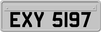 EXY5197