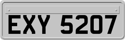 EXY5207