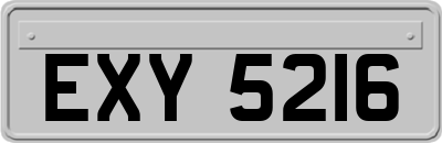 EXY5216