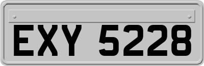 EXY5228