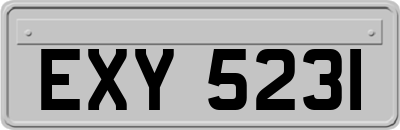 EXY5231