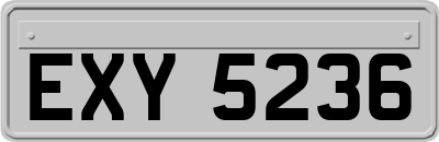 EXY5236