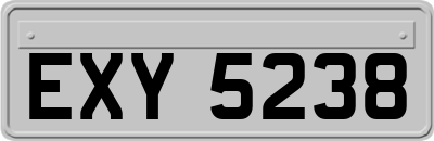 EXY5238