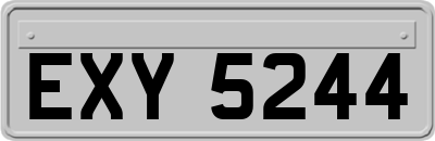 EXY5244
