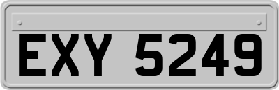 EXY5249