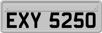 EXY5250