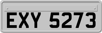 EXY5273