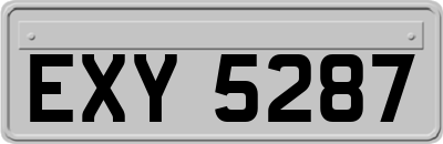EXY5287