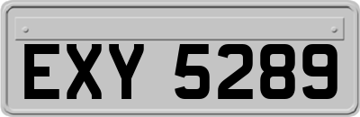 EXY5289