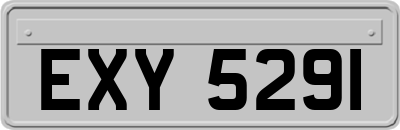 EXY5291