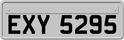 EXY5295