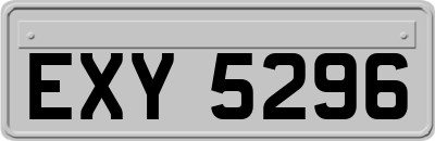 EXY5296
