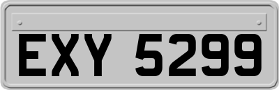 EXY5299