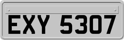 EXY5307