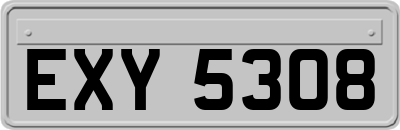 EXY5308