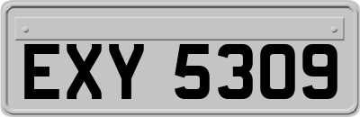 EXY5309