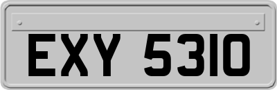 EXY5310